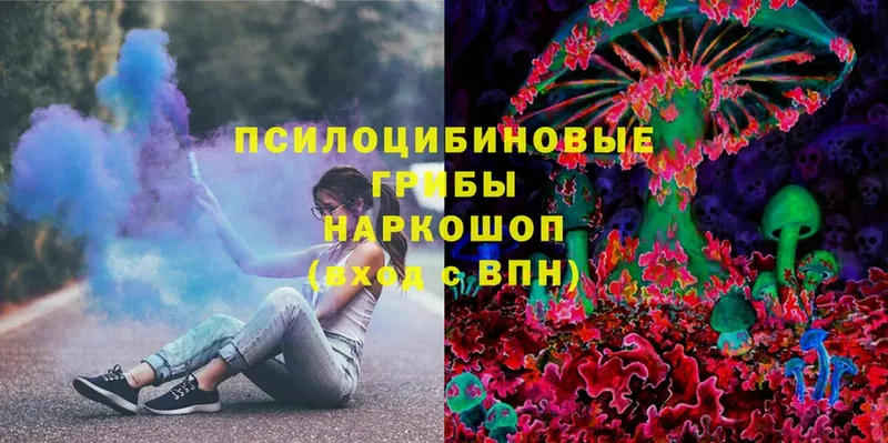 купить  сайты  Баймак  hydra ссылки  Галлюциногенные грибы Psilocybine cubensis 